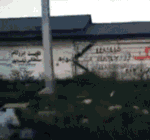 生日祝福表情雨7 生日祝福表情雨7