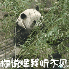 长舌表情包2 长舌表情包2