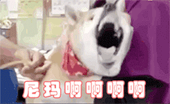 问心情的图片表情包2