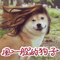 向帅哥敬礼表情包5