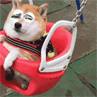 钉钉恶搞表情包图片大全6 钉钉恶搞表情包图片大全6