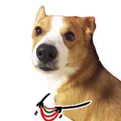 抖音上很火的表情包动态图2 抖音上很火的表情包动态图2