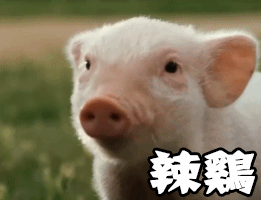 烤火的动态表情包5 烤火的动态表情包5