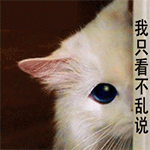 表情包里秋天的问候6