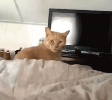 适合给闺蜜发的搞怪表情包6 适合给闺蜜发的搞怪表情包6