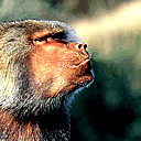 蔡徐坤生日说说配图6 蔡徐坤生日说说配图6