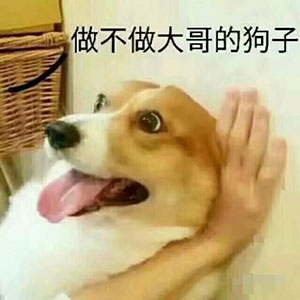 沙雕表情包emoji11