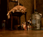 关于经典的搞笑表情10 关于经典的搞笑表情10