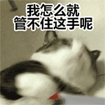 50个爱情表情包9