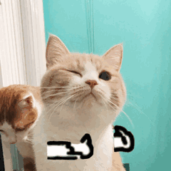 含有搞怪的iphone表情4 含有搞怪的iphone表情4