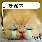 微信表情方向反转5