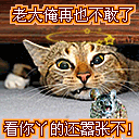 美女表情咬下唇2