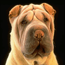 男女微信表情符号4 男女微信表情符号4