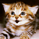 有关尔康的iphone表情符号4