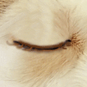 推荐8张节哀的滑稽表情3