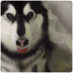 滑稽表情为什么有一种讽刺感1