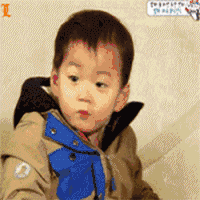 早的动态表情包可爱12