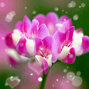 大海风景问候表情图11 大海风景问候表情图11