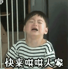 小狗狗跪下道歉表情包4 小狗狗跪下道歉表情包4