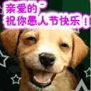 二哈表情包逗比沙雕3