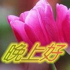 张继科沙雕表情12