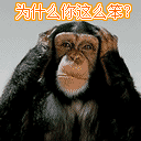 兔子恐怖表情10