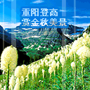 搜索美女表情新年快乐14 搜索美女表情新年快乐14