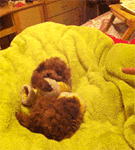 读书读个屁表情包4