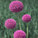 我理解了文字表情包3 我理解了文字表情包3