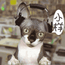 爱情类微信表情包6 爱情类微信表情包6