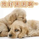 qq飞车体闲区表情动作2