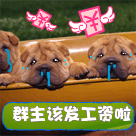 2023表情包qq群号8 2023表情包qq群号8