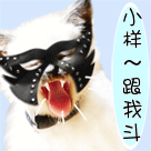 美女耍朋友不表情包8