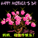 10组的安卓表情包2 10组的安卓表情包2