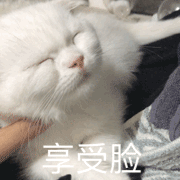 爱情 表情1 爱情 表情1