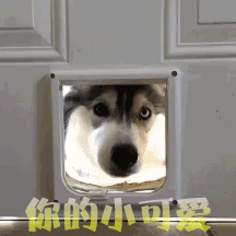 形容如果的QQ表情7 形容如果的QQ表情7