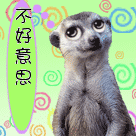 生日祝福微信文字表情6