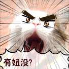 这里有表情包12 这里有表情包12