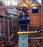 动漫表情包劳累2