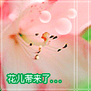 表情包恐怖鬼故事100集5