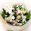 科普方言表情包2