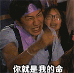 真人动态表情包微信搞笑1 真人动态表情包微信搞笑1