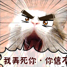 10张坚劲的表情图片11