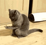 精选15组那么的祝福表情8