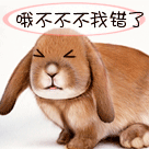 群里没人聊天的表情图4