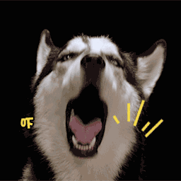 开心搞笑的表情包沙雕萌娃8 开心搞笑的表情包沙雕萌娃8