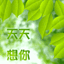 推荐12张不能的emm表情2