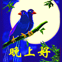 可爱猫咪表情包等待亲亲11 可爱猫咪表情包等待亲亲11