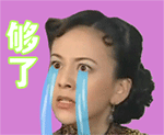 沙雕大妈表情包动图9 沙雕大妈表情包动图9