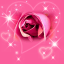 柴犬表情手绘8 柴犬表情手绘8